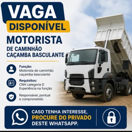 Motorista caminhão com experiência