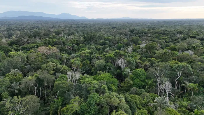 Fazenda em Roraima, no município de cantá 