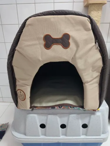Casa pet 