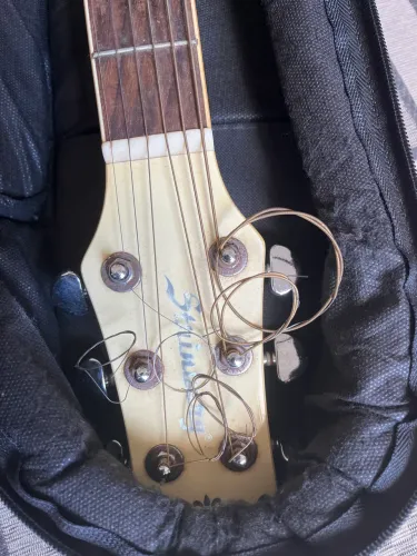 Violão strimberg elétrico