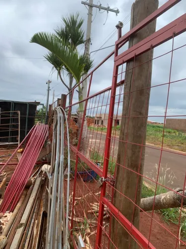 Lote de plantas