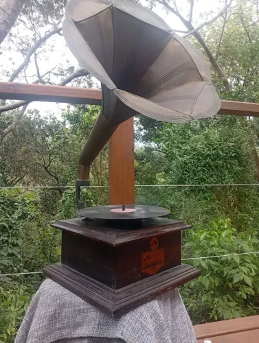 Victrola RCA Raridade