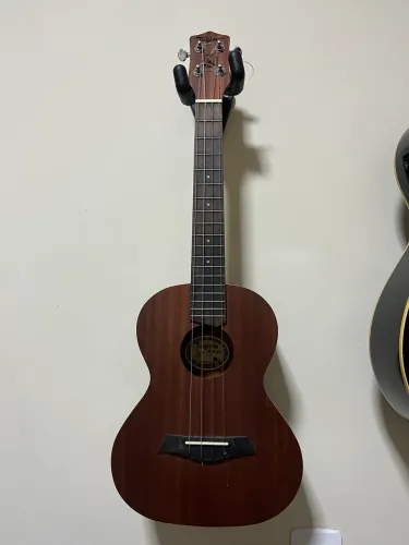 Ukulele Concert Tagima 