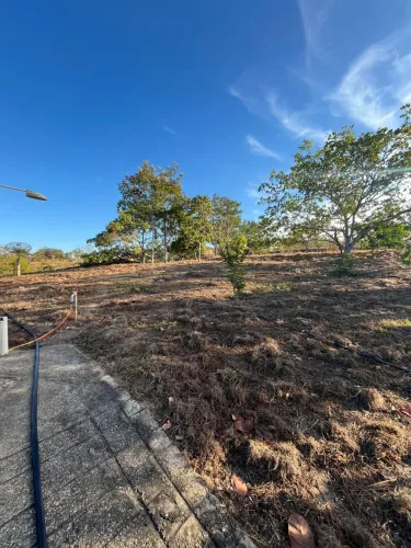 Plantio De Grama Batatais em Hidrolândia, Bela Vista e Região