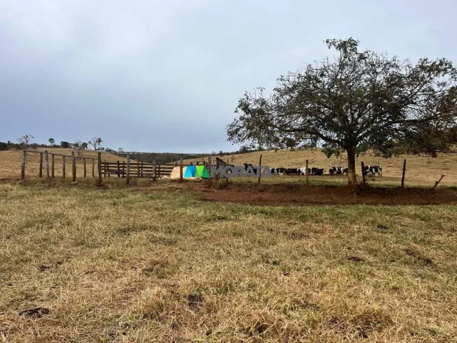FAZENDA À VENDA - 53 HECTARES - SÃO JOSÉ DA VARGINHA (MG)
