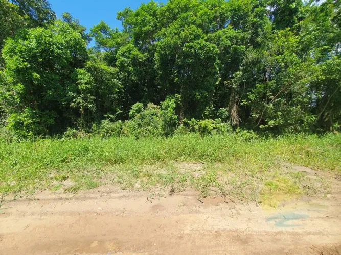 Terreno à venda, 450 m² por R$165.000,00 - Balneário Saí Mirim - Itapoá Sc.