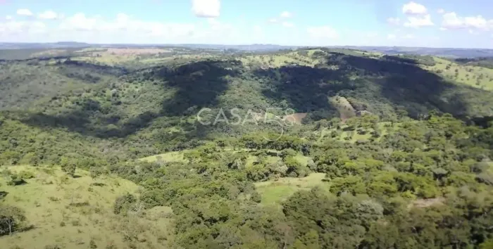 Fazenda à Venda em Bonfinópolis  GO | 145 Alqueires | Plantio + Pecuária