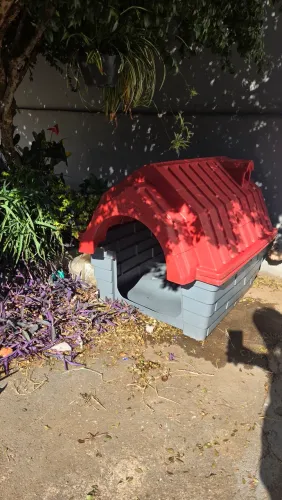 Casinha para cachorro GG