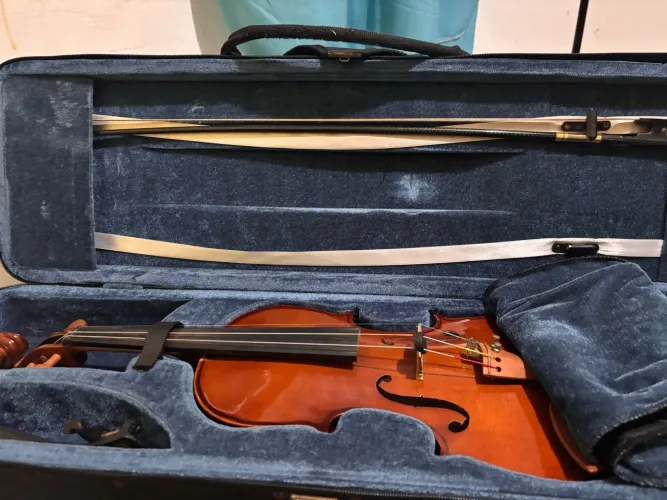Violino Eagle