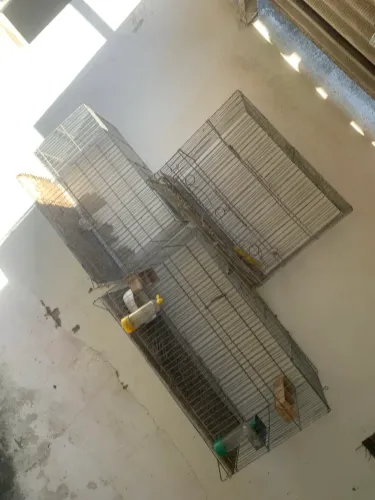 Gaiola para pássaros