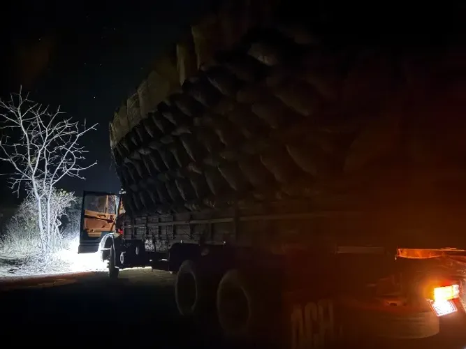 Caminhão truk