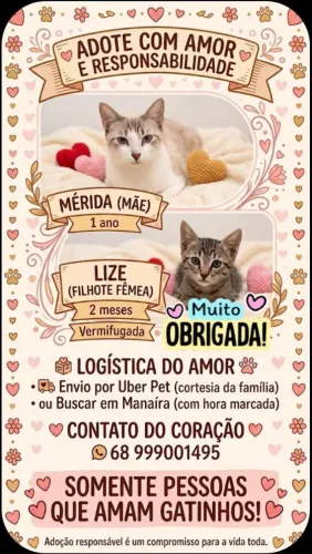 Adoção Responsável