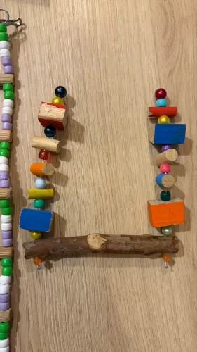 Poleiro e escada para pássaros