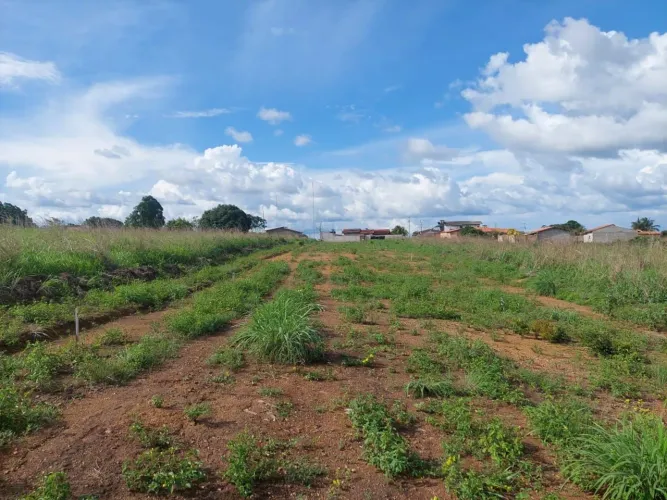 Terreno em Goianesia do Pará