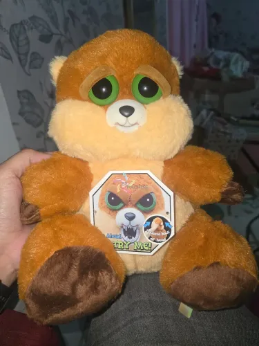 Ursinho feisty 