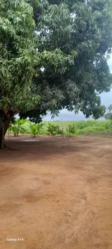 Chácara Apenas venda