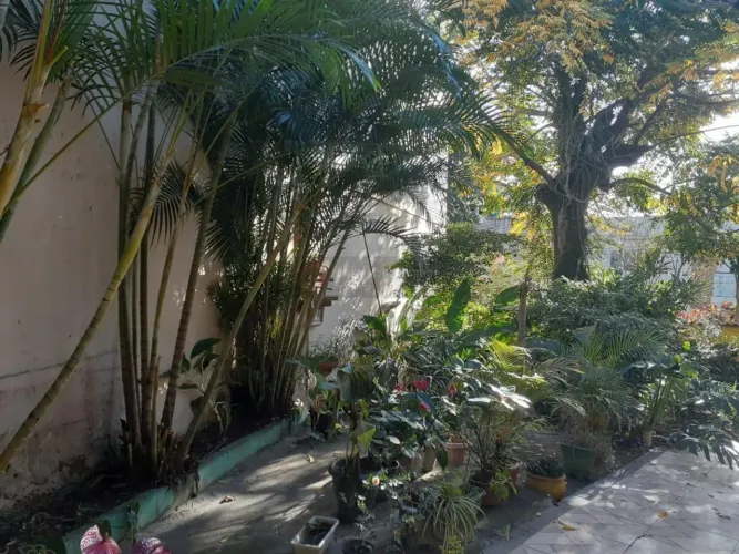 OPEN HOUSE vende- casa na Trindade, 4 quartos, 1 suite, churrasqueira, quintal grande.