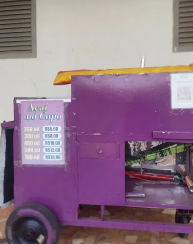Carrinho de Assaí