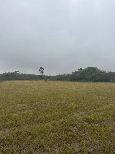 10 tarefas de terra no papagaio