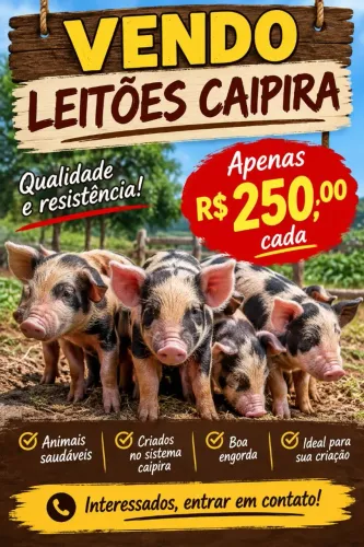 Leitão 