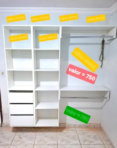 Mine closet organizador