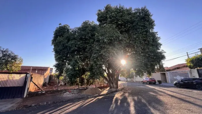 Terreno plano 295 m² de esquina e mangueira majestosa! - Jardim Aroeiras II, Rio Preto