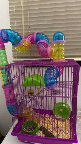 Gaiola Hamster Nova