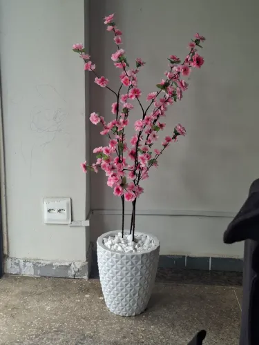 Vaso de planta