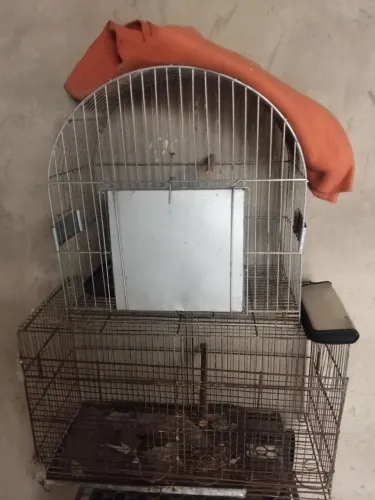 Vende-se gaiola para passarinho para qualquer outro tipo de bicho