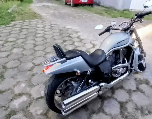 V Rod impecável !!!