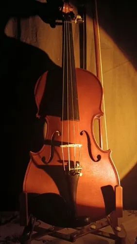 Violino Eagle VE441