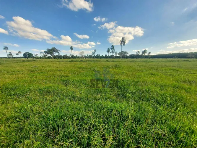 Sítio à Venda com 6,18 Alqueires em Iacanga/SP