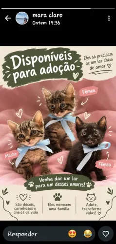 DOAÇÃO RESPONSÁVEL