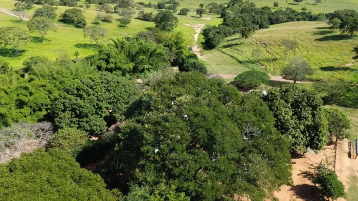 VENDO!!! FAZENDA À VENDA MUNICÍPIO DE VILA PROPÍCIO (GO)