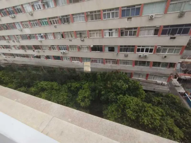 Apartamento - / Residencial / Flamengo