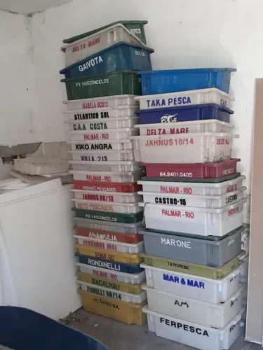 Cx pra deposito de peixe