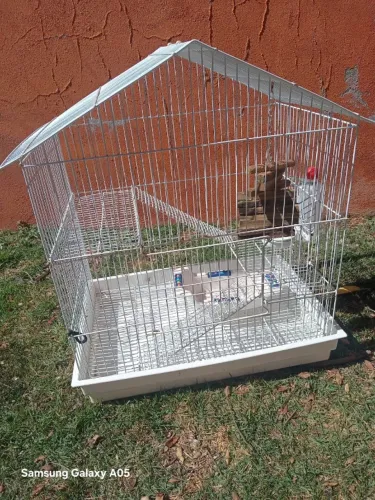 Gaiola para chinchila