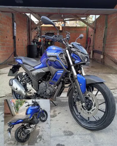 Fz 15 2023
