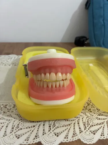 Manequim odontológico Pronew novo