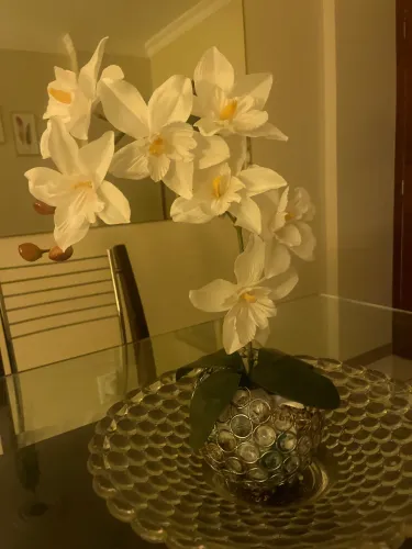 Arranjo de flores orquídeas naturais, com caso de cerâmica