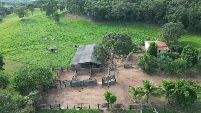 FAZENDA À VENDA CALDAS NOVAS/GO - 32 alqueires