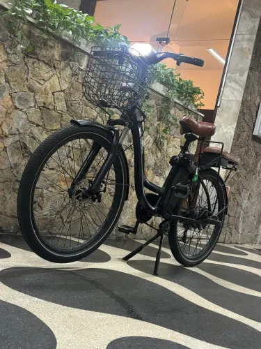 Lev E-Bike L Plus