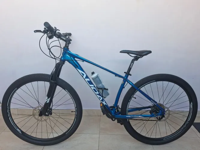 Bicicleta Audax - Feminina - Aro 17