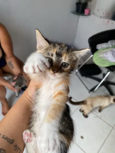 Doação