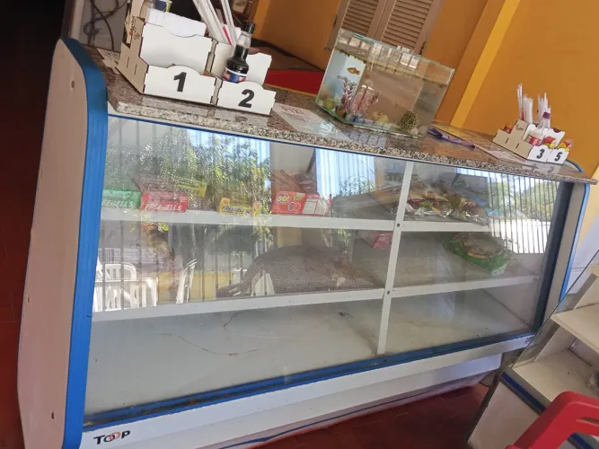 Freezer  Expositor