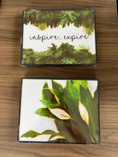 Quadros natureza inspire