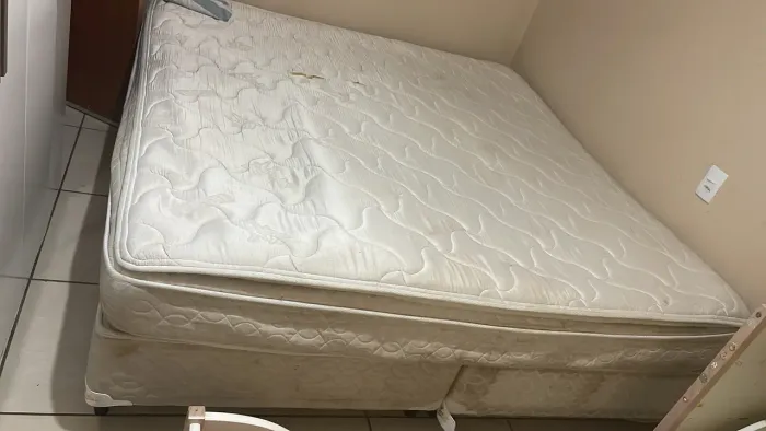 Cama king CAstor