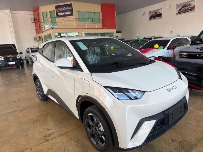 BYD Dolphin Mini (Elétrico) 2027