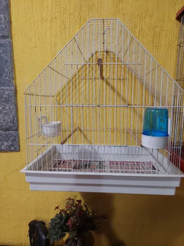 Gaiola para agaporne e calopsita