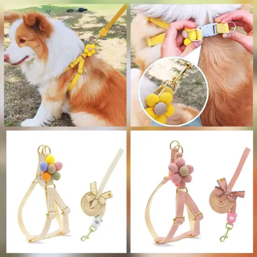 COLEIRA PARA CÃES PEQUENO PORTE